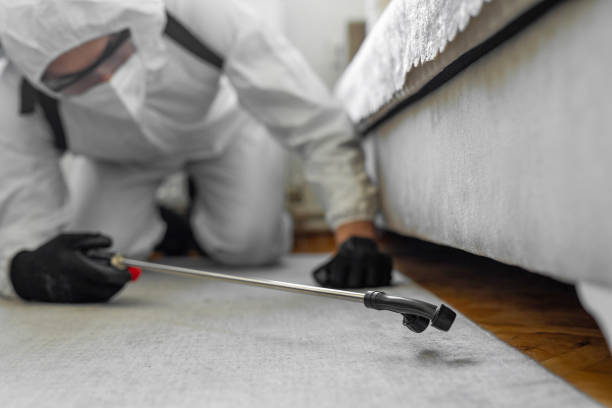 Professional Bed Bug Control technician working in Williamstown, WV